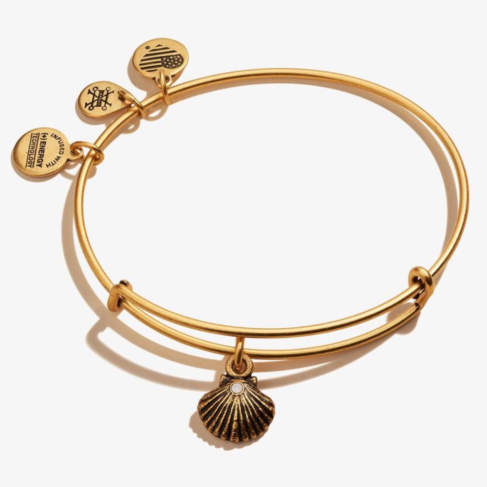 Alex and Ani shell bracelet